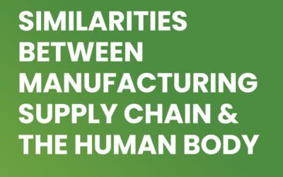 Similarities between Manufacturing Supply Chain and the Human Body